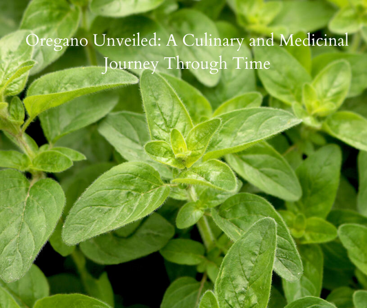 Oregano Unveiled: A Culinary and Medicinal Journey Through Time