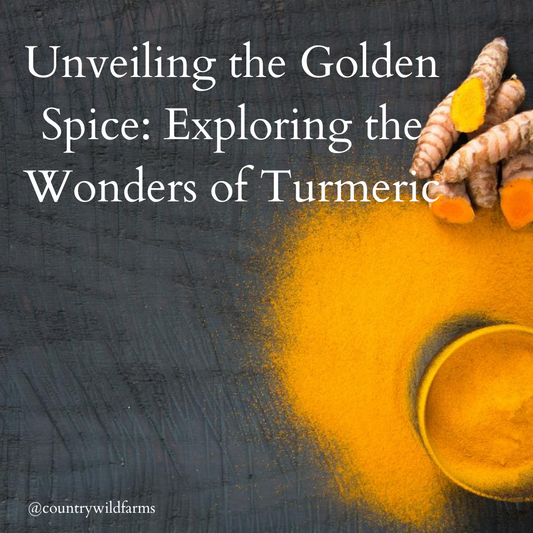 Unveiling the Golden Spice: Exploring the Wonders of Turmeric