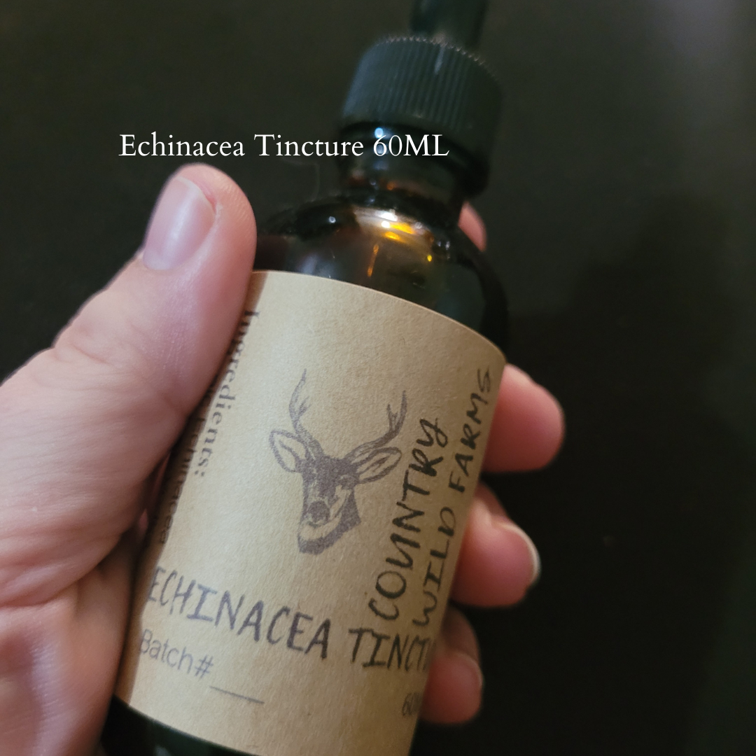 Echinacea Tincture 60ML- Echinacea purpurea