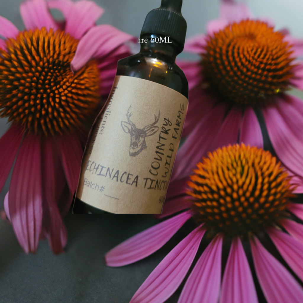 Echinacea Tincture 60ML- Echinacea purpurea