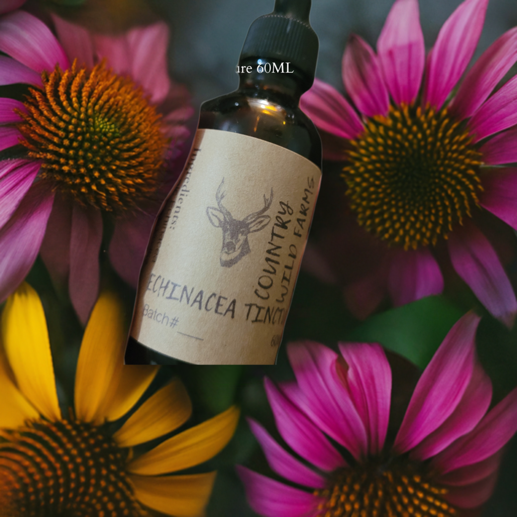 Echinacea Tincture 60ML- Echinacea purpurea