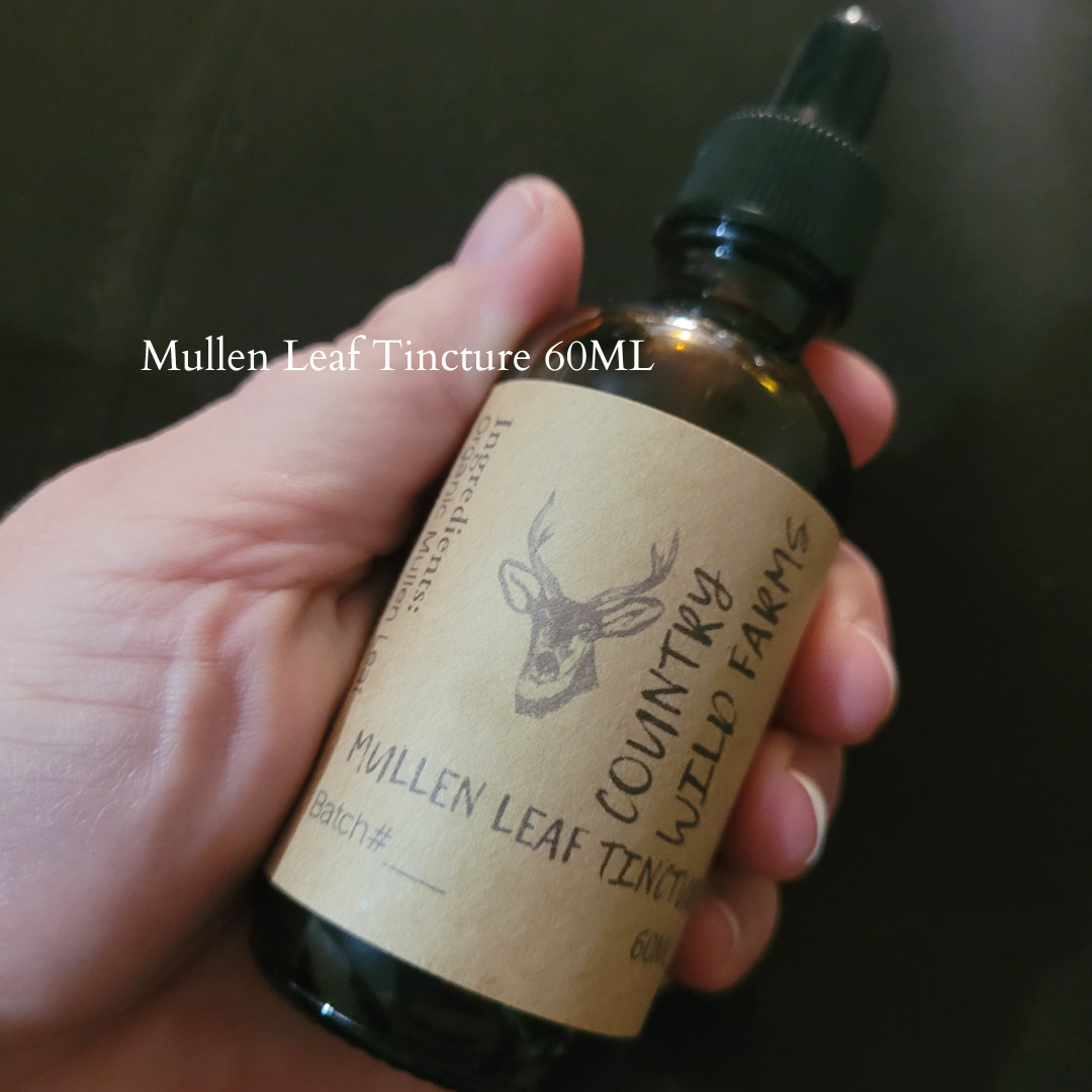 Mullen Leaf Tincture 60ML- Verbascum thapsus